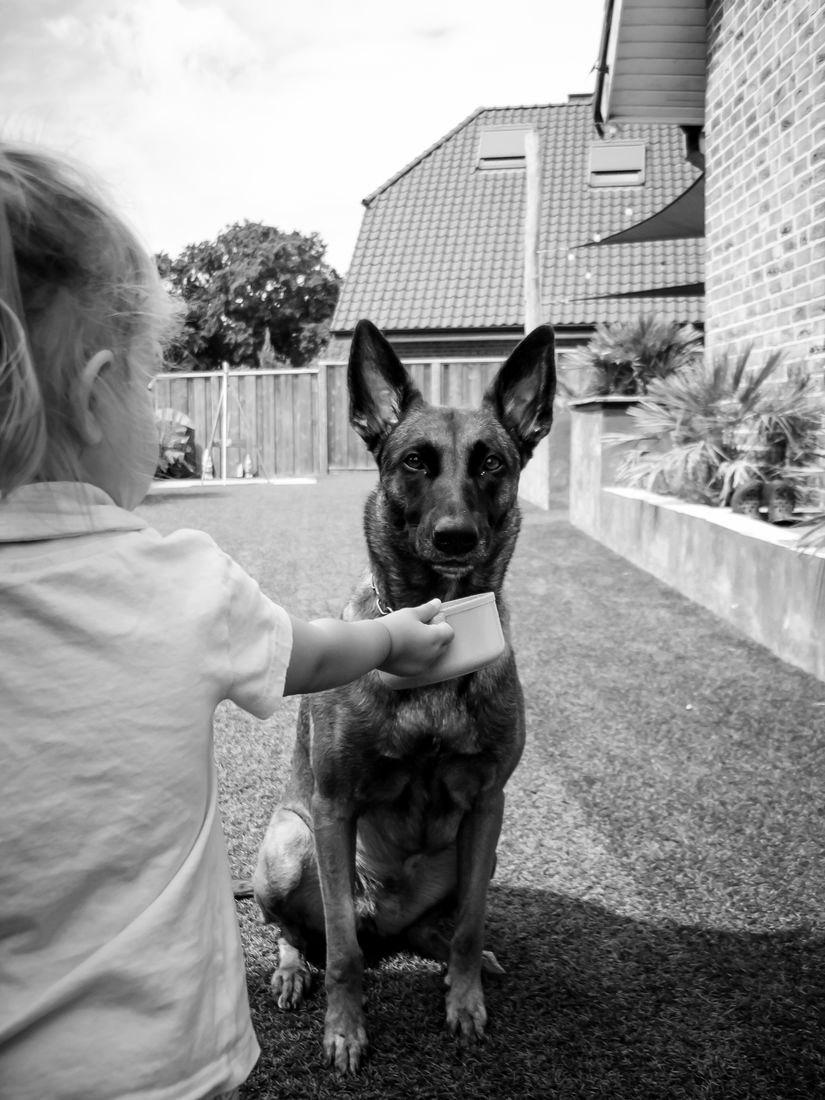 Meine Tochter von hinten, sie füttert den Hund